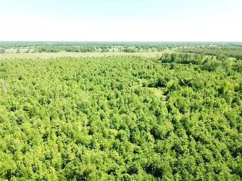 00 County Road 4308, Simms, TX 75574 photo 6