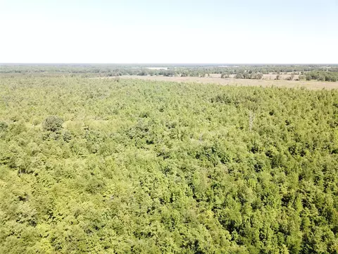 00 County Road 4308, Simms, TX 75574 photo 3