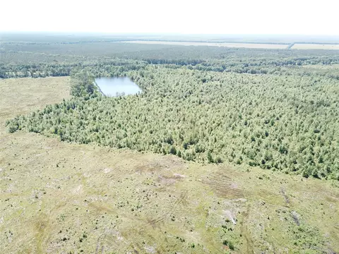 00 County Road 4308, Simms, TX 75574 photo 4