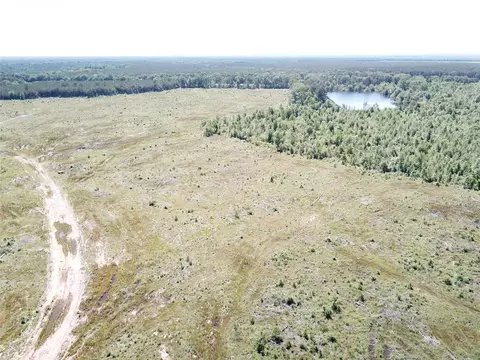 00 County Road 4308, Simms, TX 75574 photo 18