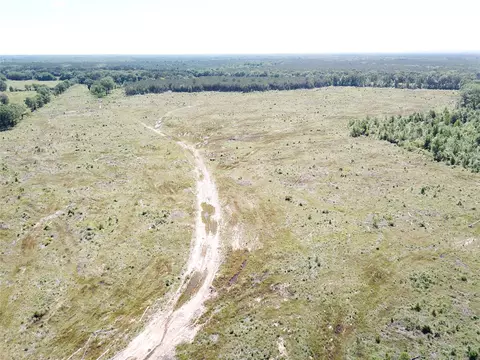 00 County Road 4308, Simms, TX 75574 photo 19