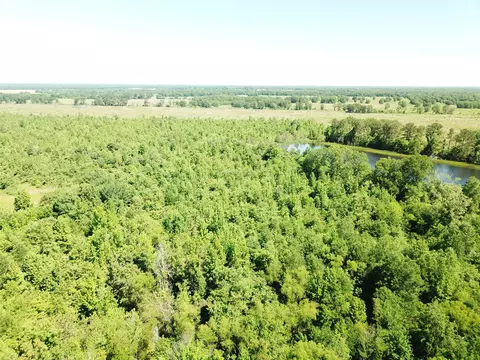 00 County Road 4308, Simms, TX 75574 photo 8