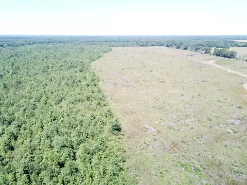 00 County Road 4308, Simms, TX 75574 photo 14