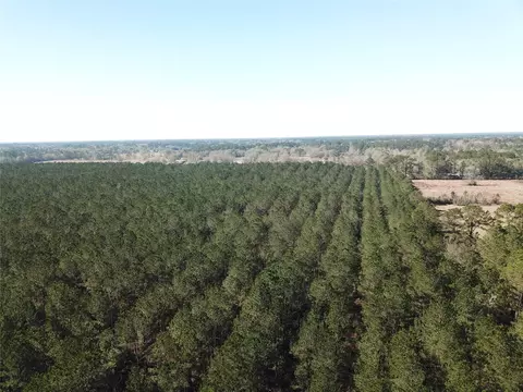 00 Corrigan Rd, Vidor, TX 77662
