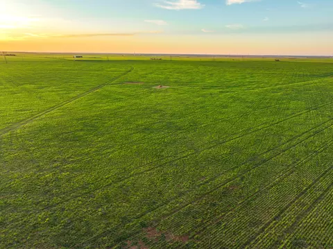 159 Co Rd 4360, Munday, TX 76371