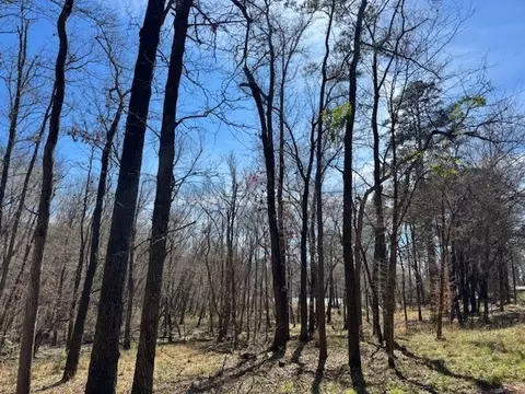 tbd Anderson County Rd 319, Frankston, TX 75763