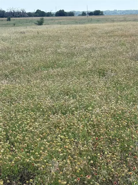 tbd Lot 5 Cr 3565, China Spring, TX 76633