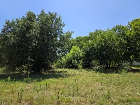 309 Hwy 36, Gustine, TX 76455 photo 9