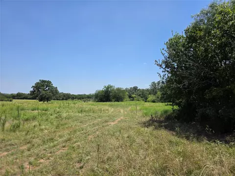 309 Hwy 36, Gustine, TX 76455 photo 8