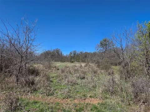 309 Hwy 36, Gustine, TX 76455 photo 8