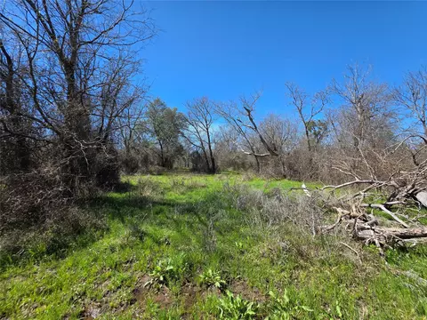 309 Hwy 36, Gustine, TX 76455 photo 4
