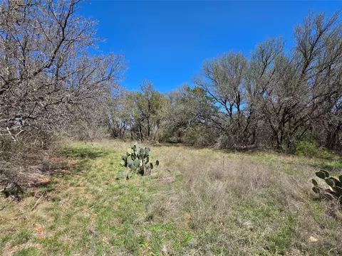 309 Hwy 36, Gustine, TX 76455 photo 16