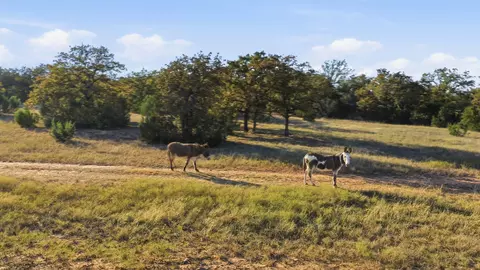 11031 Brock Hwy, Lipan, TX 76462