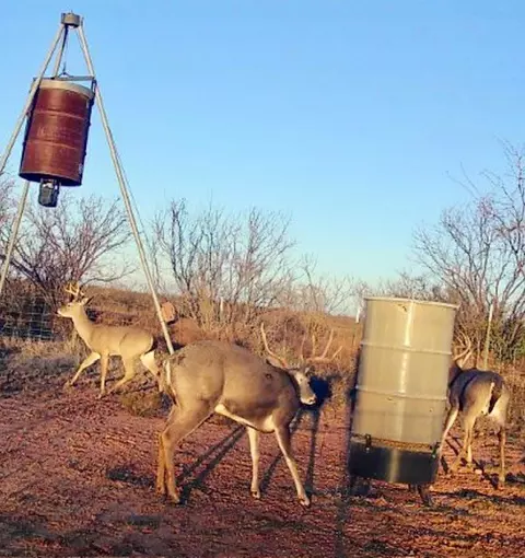 tbd Pr Off Of Cr 444, Merkel, TX 79536