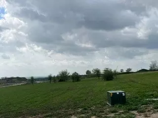 101 Alexander Ct, Cresson, TX 76035