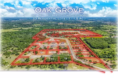 324 Jonny Boy Way, Springtown, TX 76082