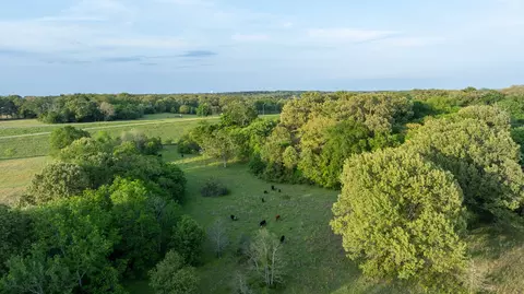 951 SE Loop 7, Athens, TX 75751 photo 22