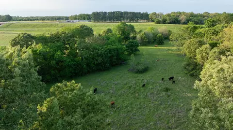951 SE Loop 7, Athens, TX 75751 photo 25