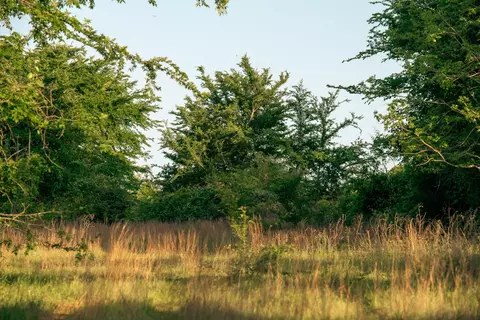 951 SE Loop 7, Athens, TX 75751 photo 33
