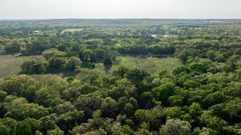 951 SE Loop 7, Athens, TX 75751 photo 10