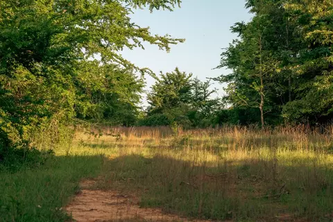 951 SE Loop 7, Athens, TX 75751 photo 32
