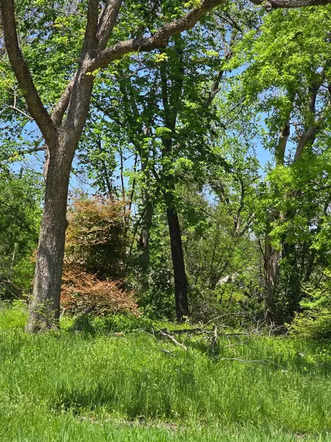 1412 W Collin St, Corsicana, TX 75110