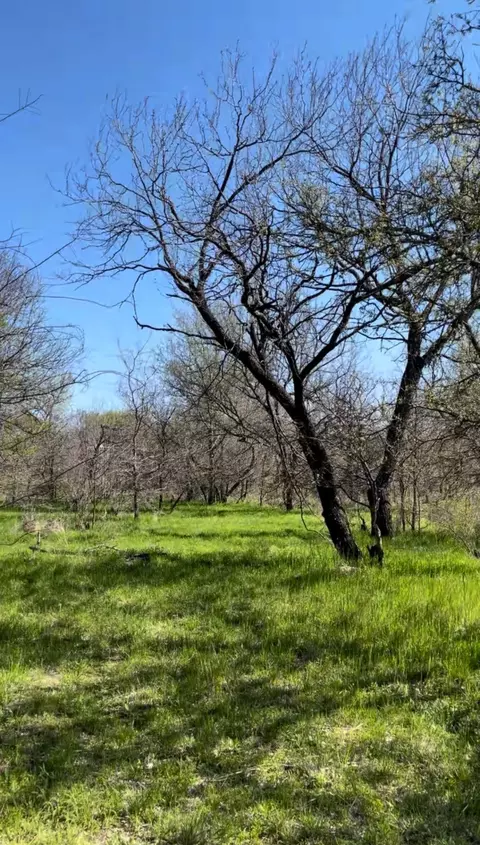 tbd Port O Call Dr, Runaway Bay, TX 76426