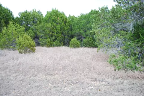 43111 Indian Blanket Dr, Whitney, TX 76692