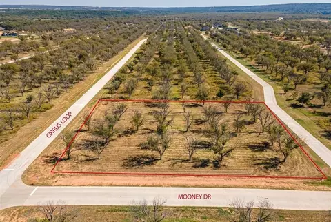 1401 Cirrus Loop, Granbury, TX 76049