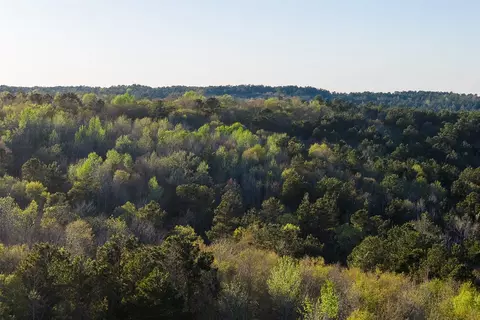0 Farm To Market Road 747, Jacksonville, TX 75766