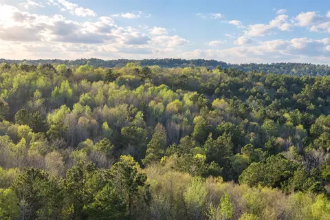 0 Farm To Market Road 747, Jacksonville, TX 75766