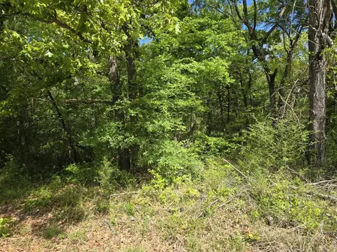 lot699 Shady Grove Rd, Gun Barrel City, TX 75156