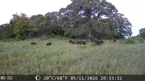 21 Ac Erwin, Perrin, TX 78486 photo 16