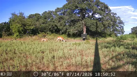 21 Ac Erwin, Perrin, TX 78486 photo 18