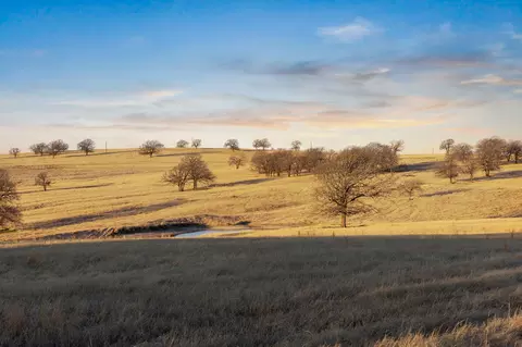tbd Odom Rd, Nocona, TX 76255
