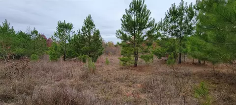 0 Jewell Gooch Rd, Marshall, TX 75670