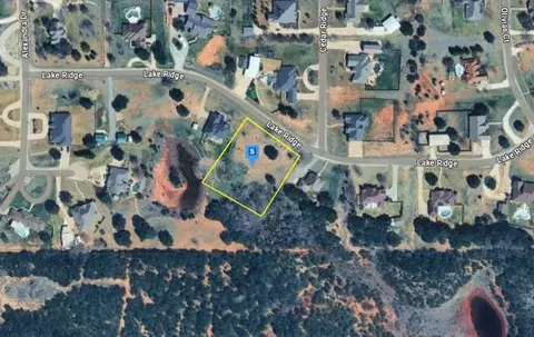 165 Lake Ridge Rd, Tuscola, TX 79562