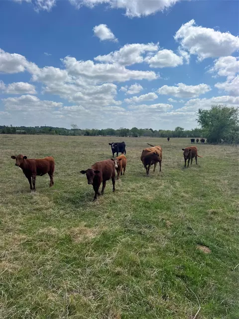 12716 Fm-59 Hwy, Athens, TX 75751
