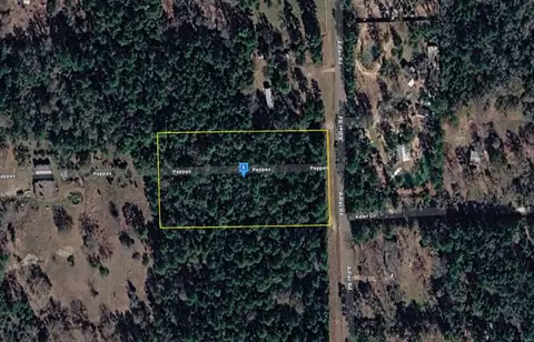17050 Adler Rd, No City, TX 77484