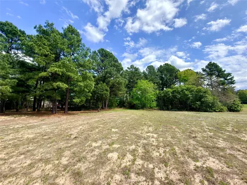 0 Palomino Ct, Athens, TX 75752
