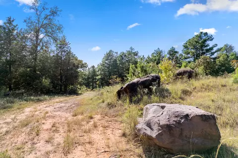 16 Acres Cr 3350, Mount Vernon, TX 75457
