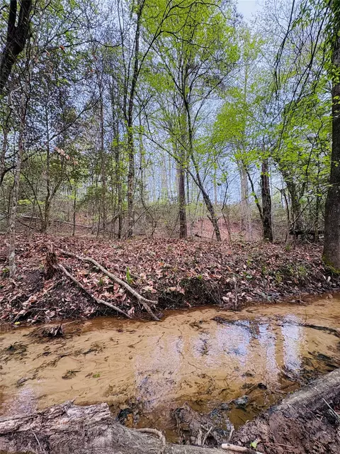 tbd Fm 711, Center, TX 75935
