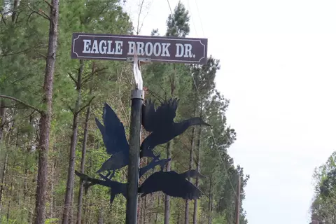 0 Eagle Brk, Lewisville, AR 71845