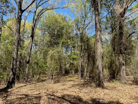 lot S 30 - 32 Armadillo Dr, Murchison, TX 75778
