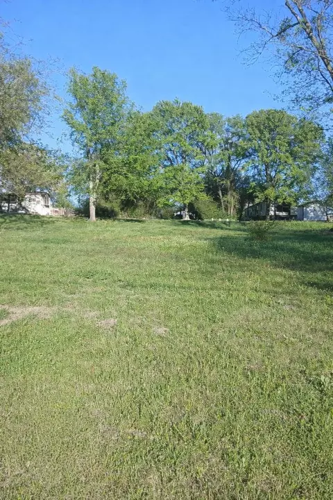 247 Wildwind St, Gun Barrel City, TX 75156