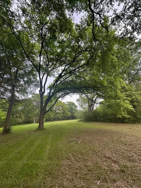 tbd Merry Oaks Ln, Eustace, TX 75124 photo 6