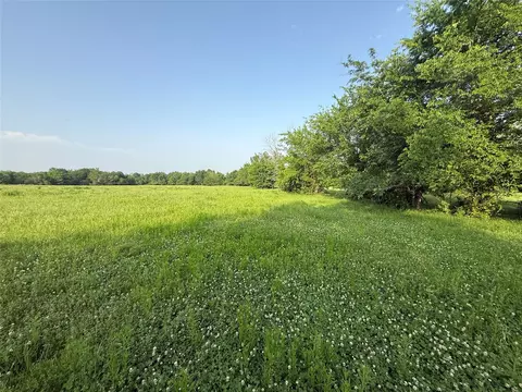 0000 N Tbd N County Road 3528, Saltillo, TX 75478