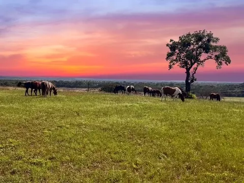 7205 Bethel Rd, Weatherford, TX 76087