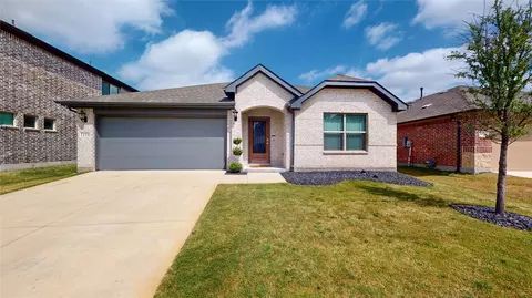 1118 Holcombe Dr, Anna, TX 75409