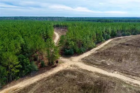 tbd Segno Fire Ln, Livingston, TX 77351